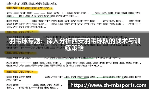 羽毛球专题：深入分析西安羽毛球队的战术与训练策略